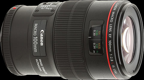 Compro Lente Canon 24105mm o Canon 100mm f2 - Imagen 2