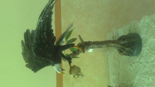 Aguila real en mansilla pl�stica  Ref 7298 - Imagen 1