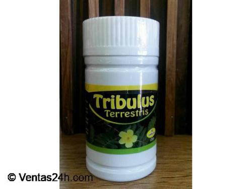 tribulossi tenemos tribulos de origen brasile - Imagen 1